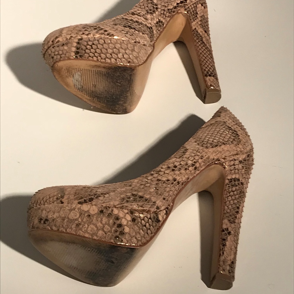 Steve Madden BEASST-S Leather Snakeskin Print - Picture 6 of 8